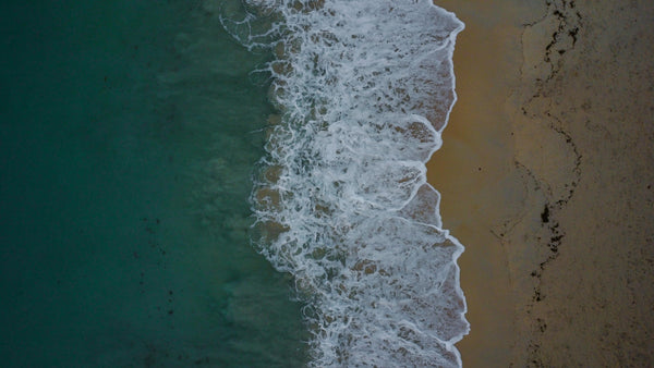OCEAN